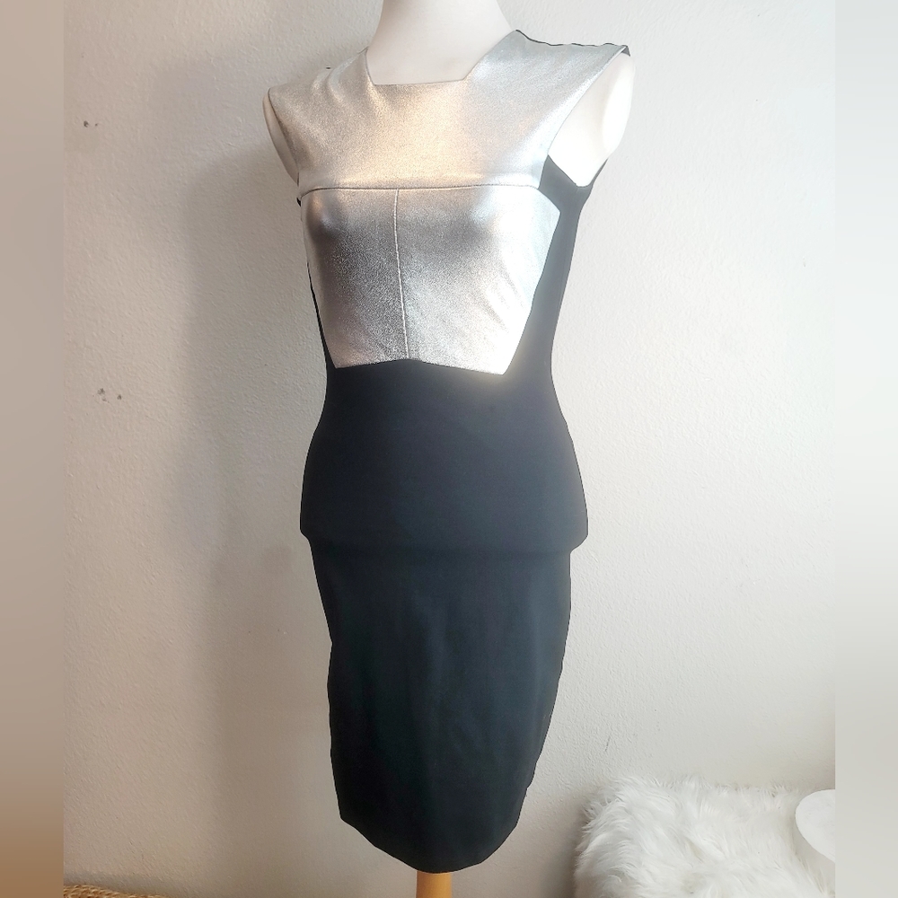 MASON SAMPLE DESIGN DRESS LAMBSKIN SILVER FRONT PANEL SHEATH STYLE WOMEN'S SMALL